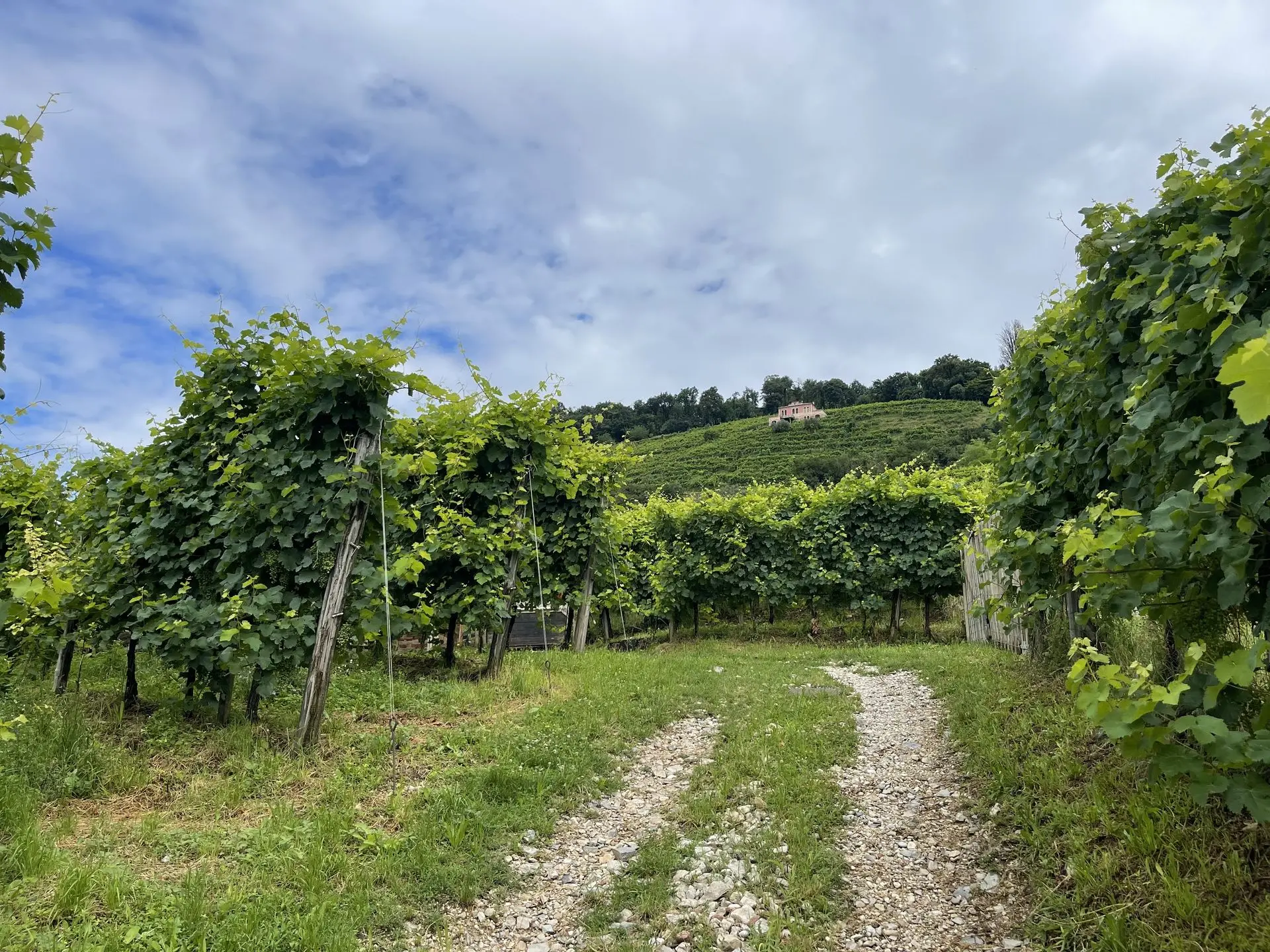 Valdobbiadene 1