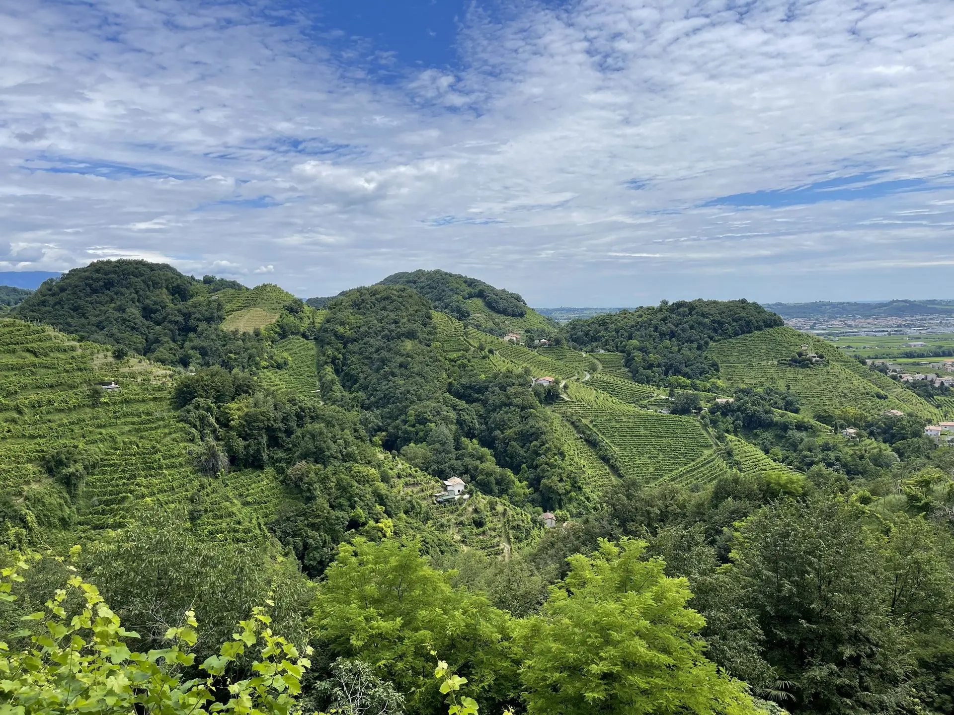 Valdobbiadene 2