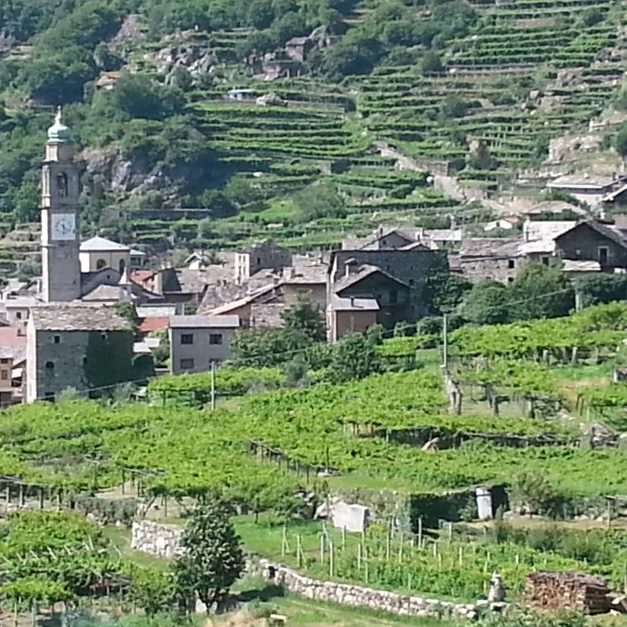 Carema